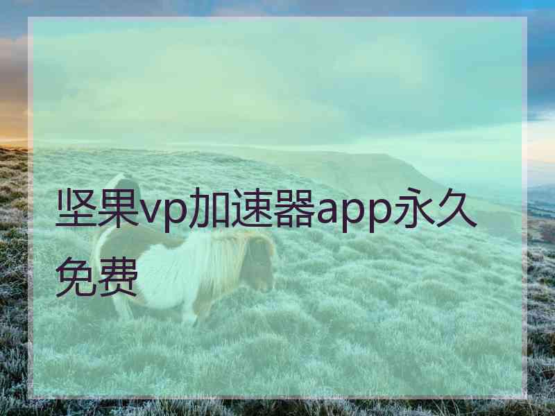 坚果vp加速器app永久免费
