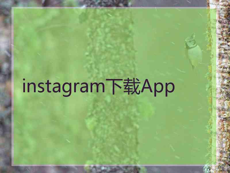 instagram下载App
