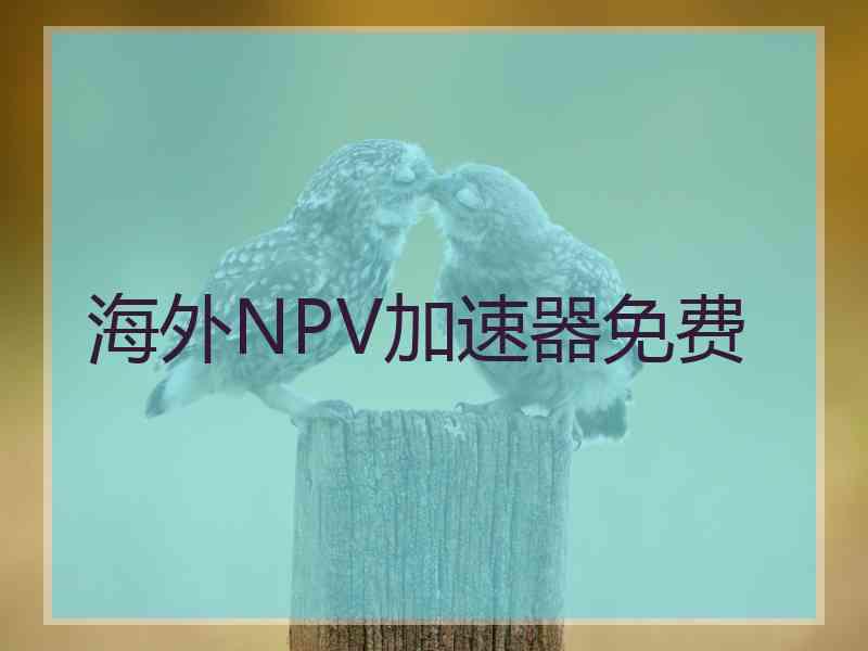海外NPV加速器免费