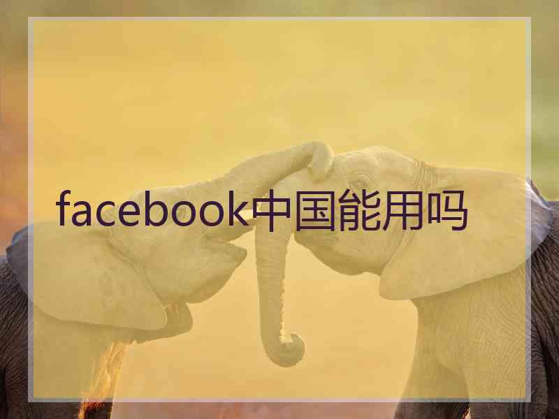 facebook中国能用吗