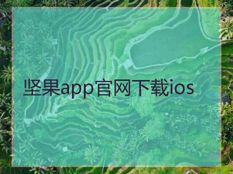 坚果app官网下载ios