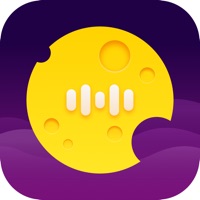 外网浏览器app