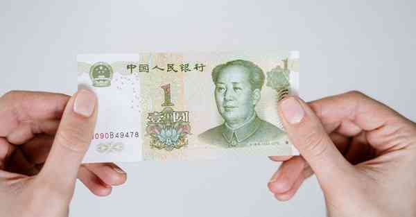 云帆app