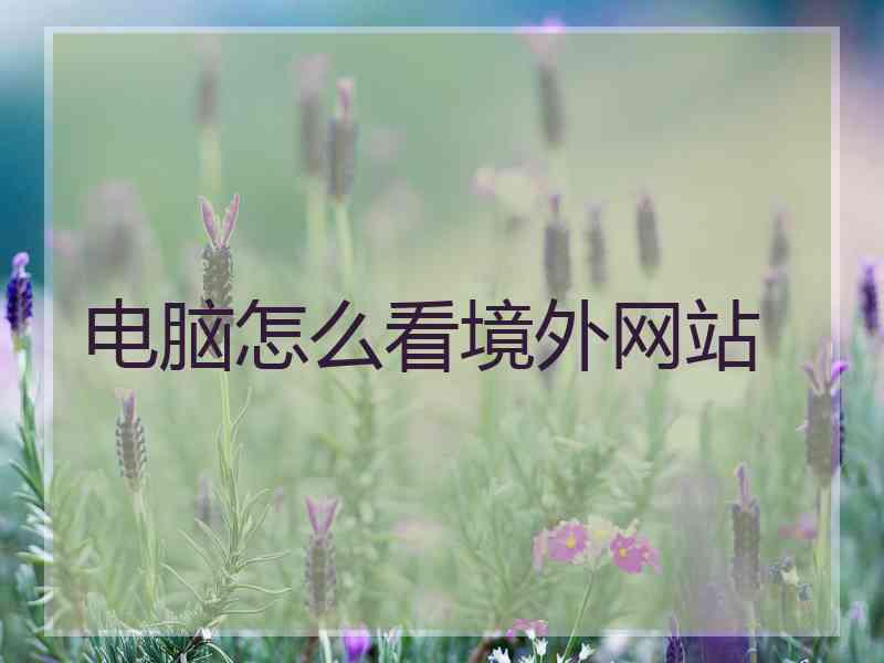 电脑怎么看境外网站