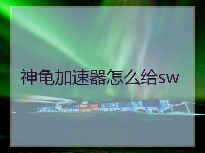 神龟加速器怎么给sw