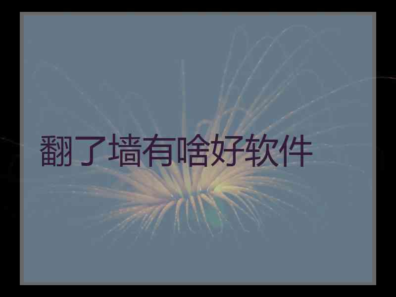 翻了墙有啥好软件