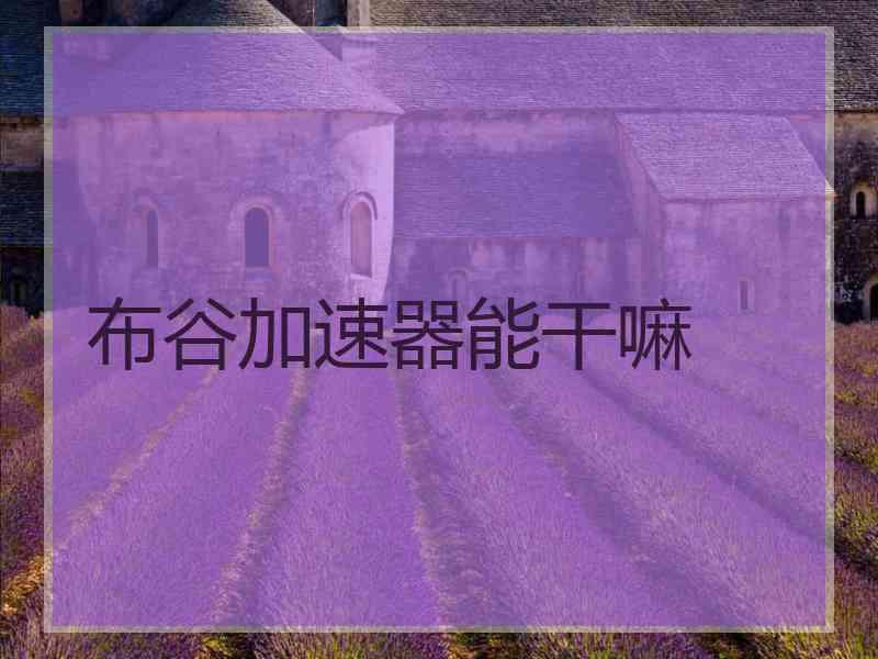 布谷加速器能干嘛