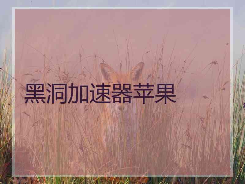 黑洞加速器苹果