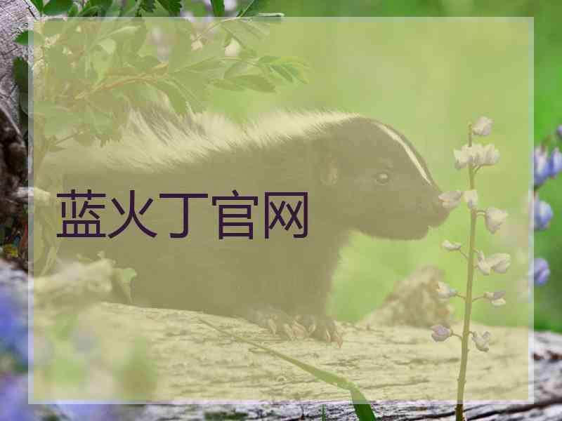 蓝火丁官网