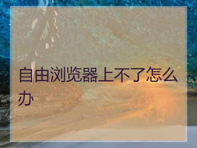自由浏览器上不了怎么办