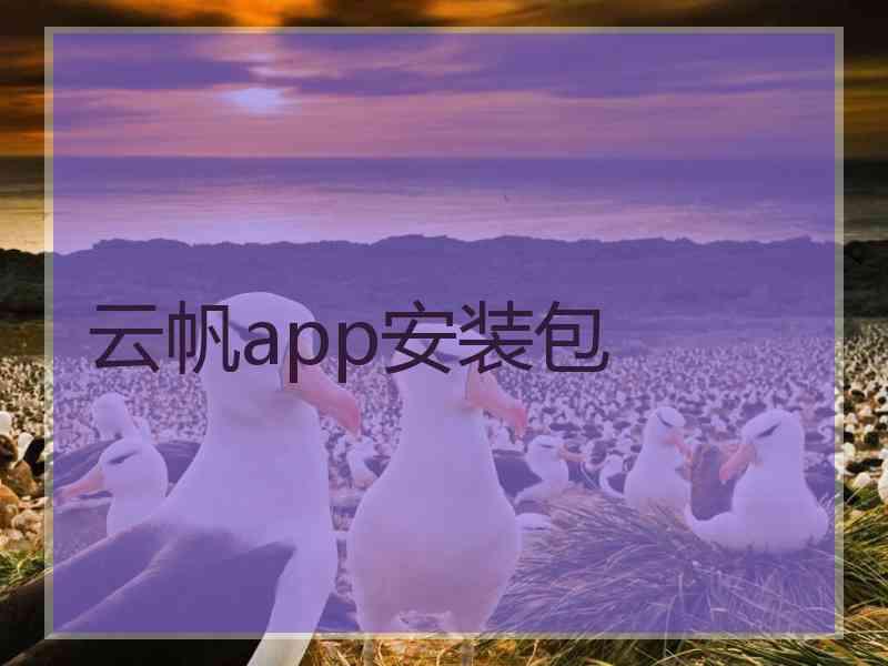 云帆app安装包