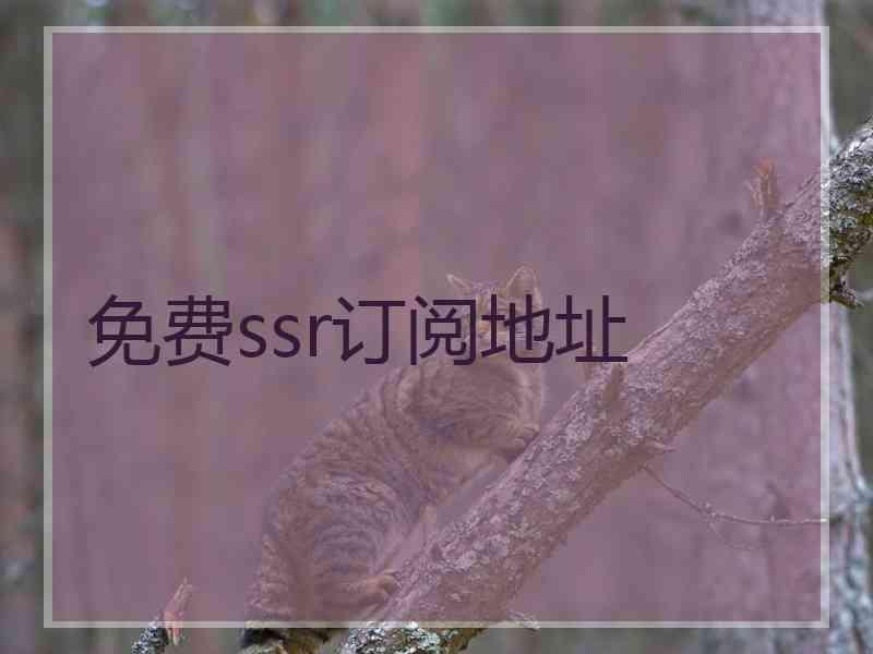 免费ssr订阅地址