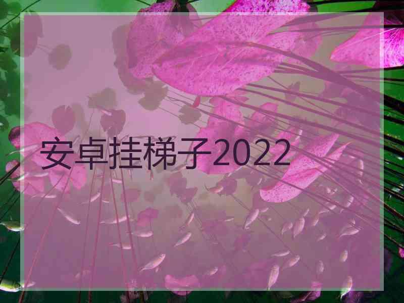 安卓挂梯子2022