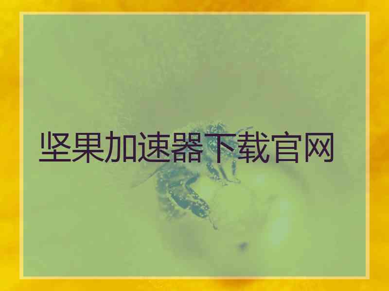 坚果加速器下载官网