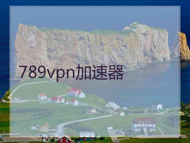 789vpn加速器