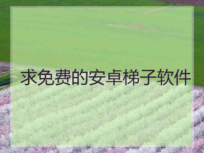 求免费的安卓梯子软件