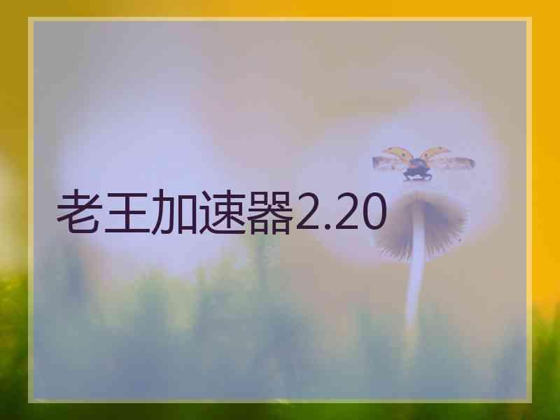 老王加速器2.20
