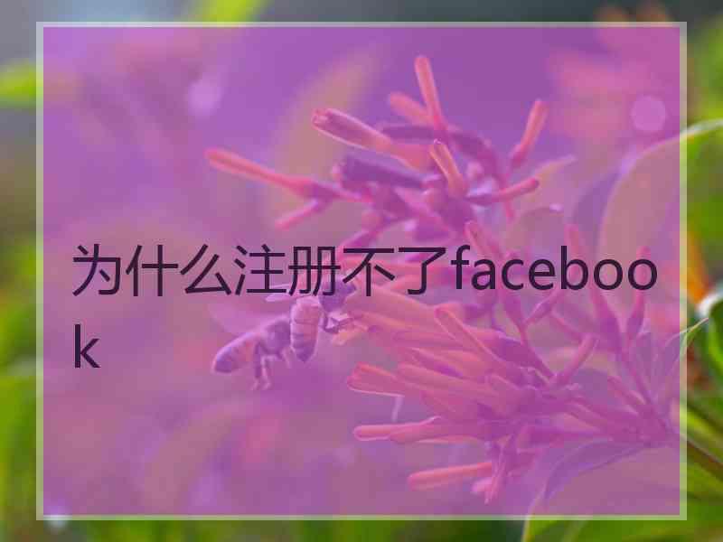 为什么注册不了facebook