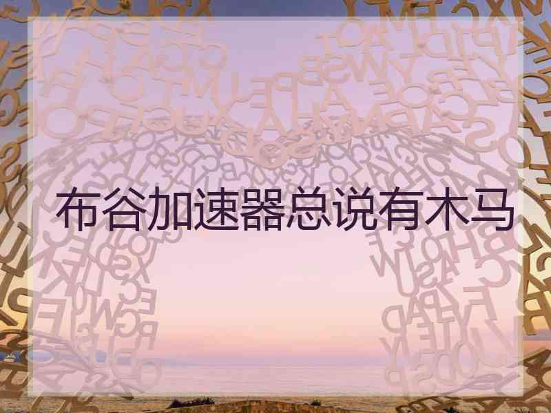 布谷加速器总说有木马