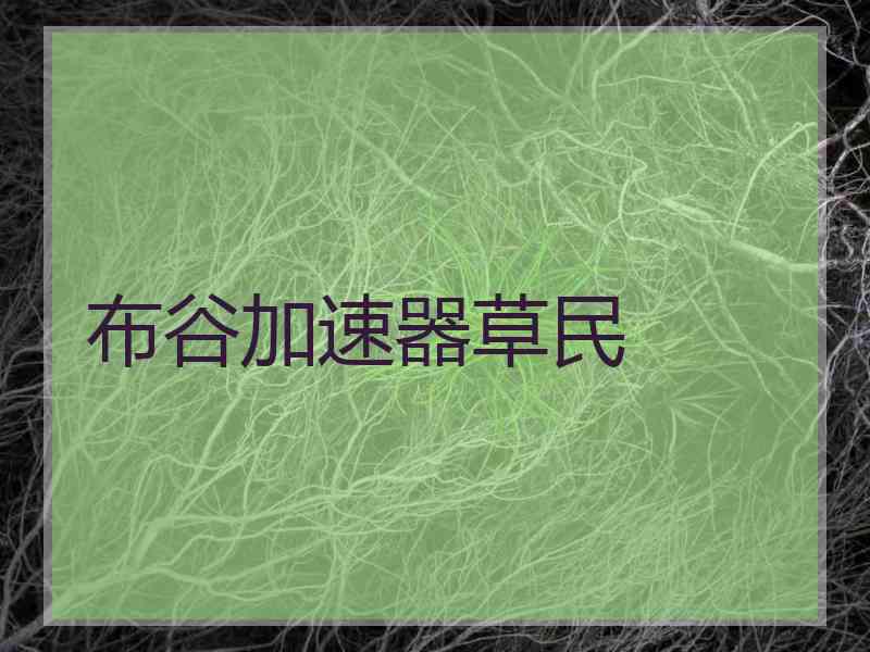 布谷加速器草民