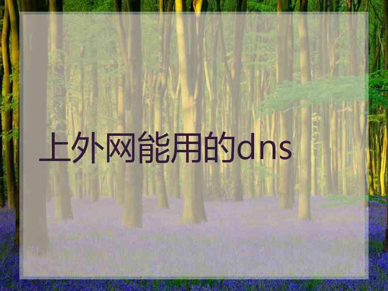 上外网能用的dns