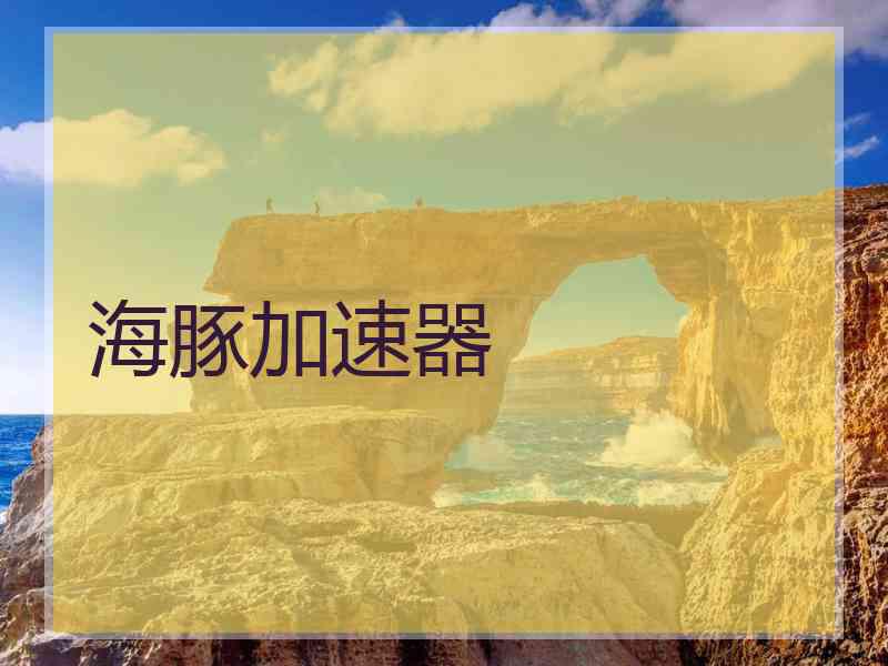 海豚加速器