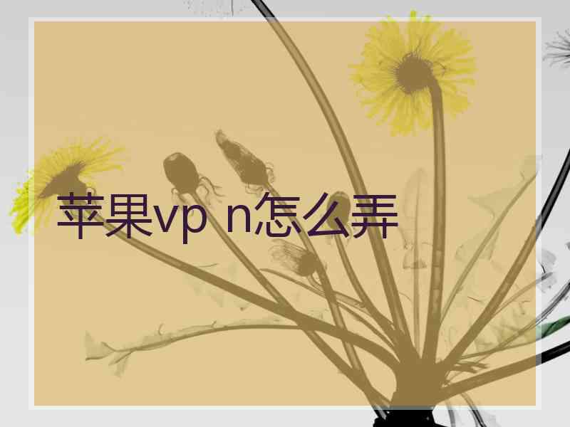 苹果vp n怎么弄