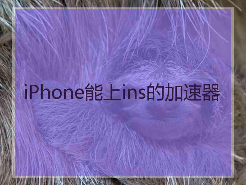 iPhone能上ins的加速器
