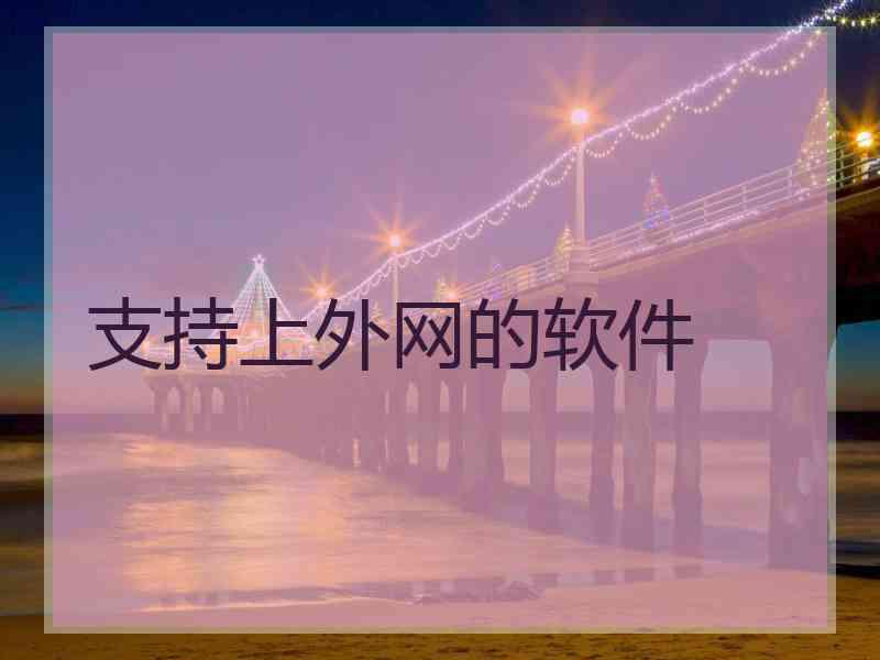 支持上外网的软件