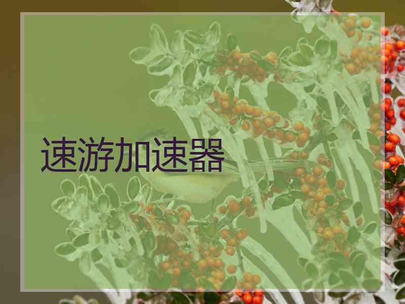 速游加速器