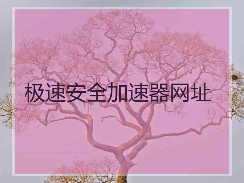 极速安全加速器网址