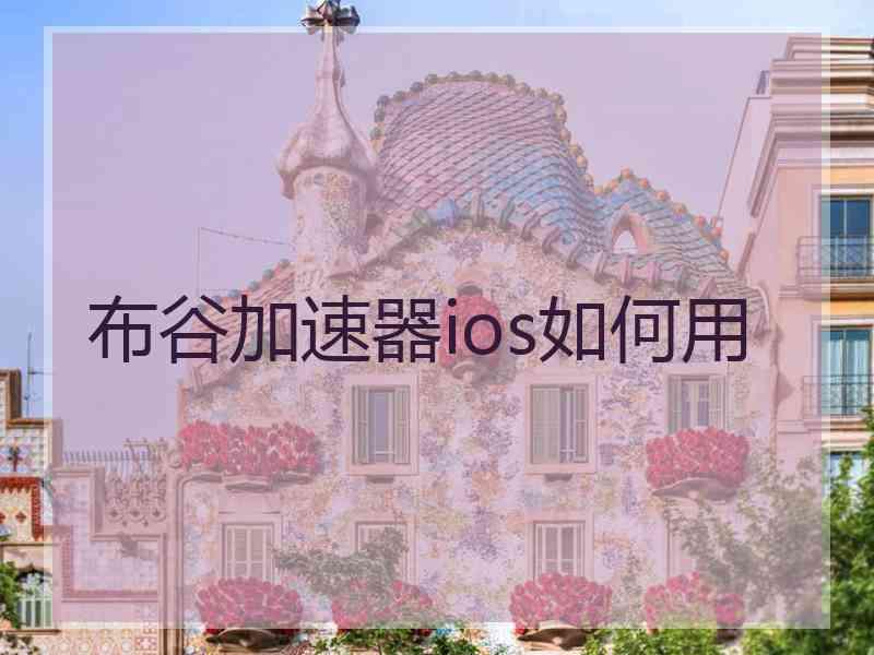 布谷加速器ios如何用