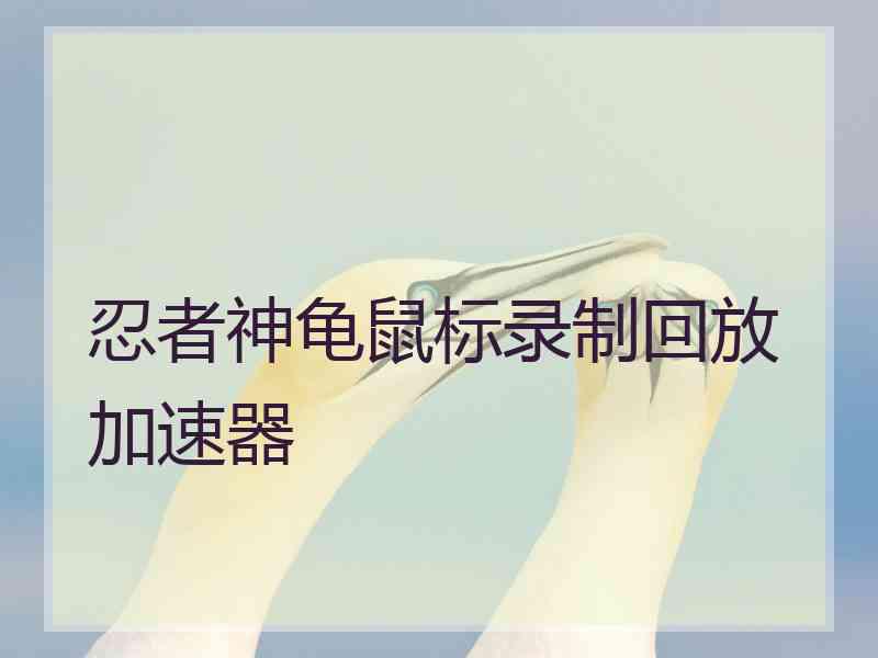 忍者神龟鼠标录制回放加速器