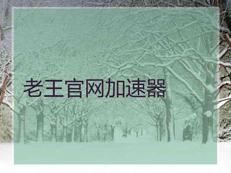 老王官网加速器