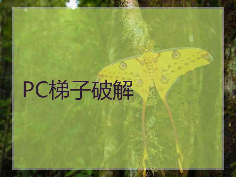 PC梯子破解