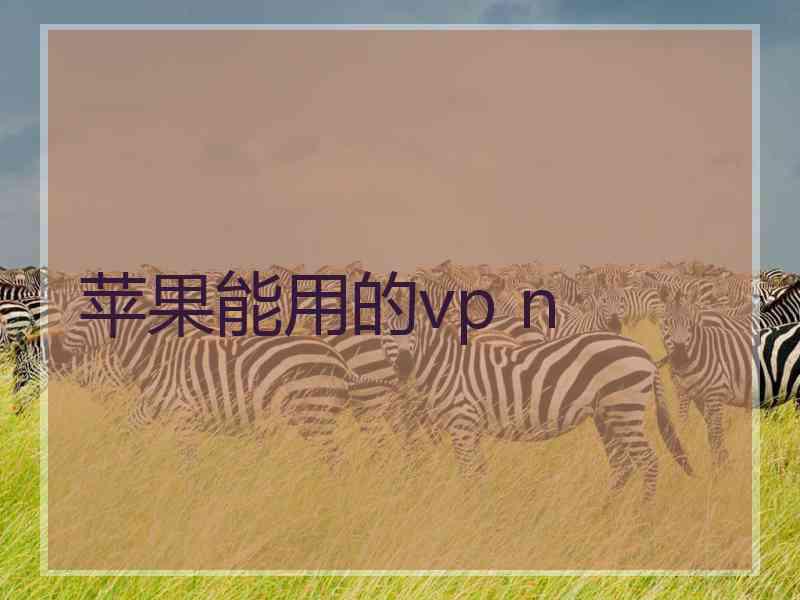 苹果能用的vp n