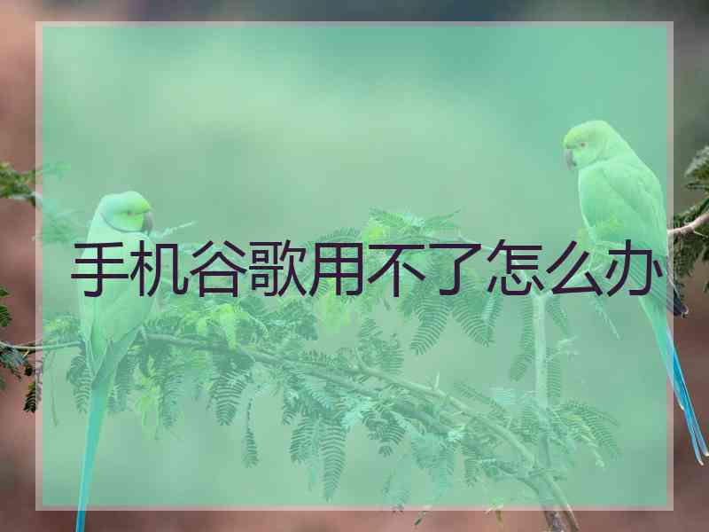 手机谷歌用不了怎么办