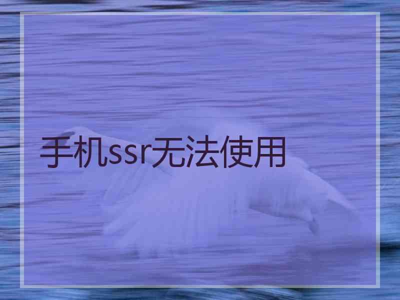 手机ssr无法使用