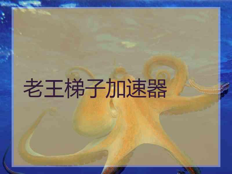 老王梯子加速器