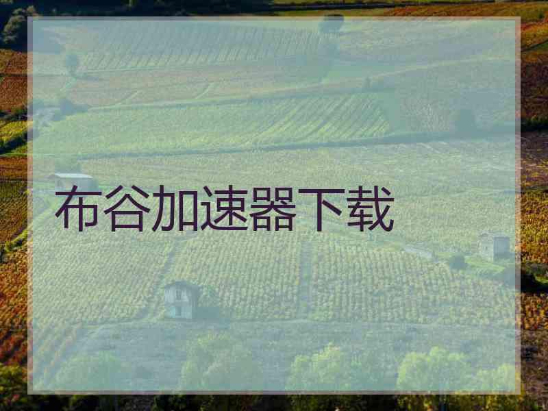 布谷加速器下载