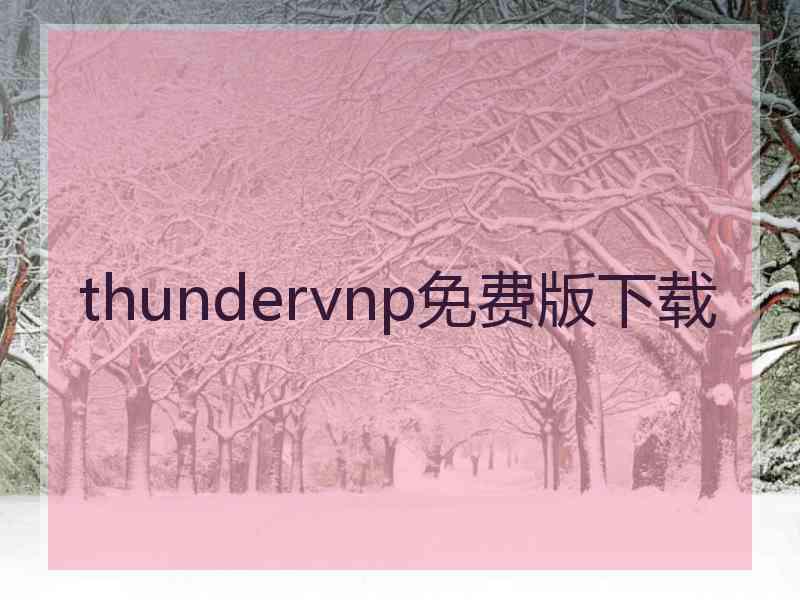 thundervnp免费版下载
