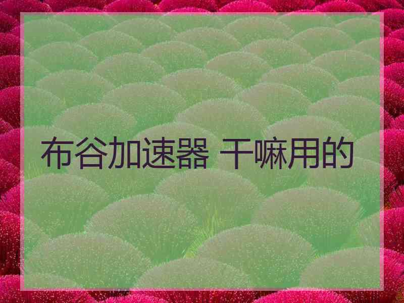 布谷加速器 干嘛用的
