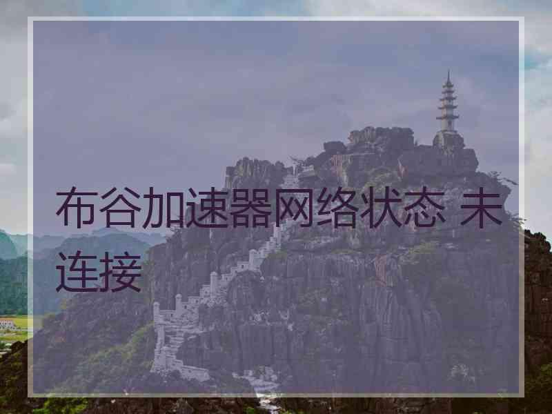 布谷加速器网络状态 未连接