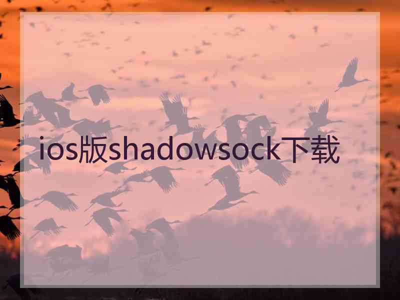 ios版shadowsock下载