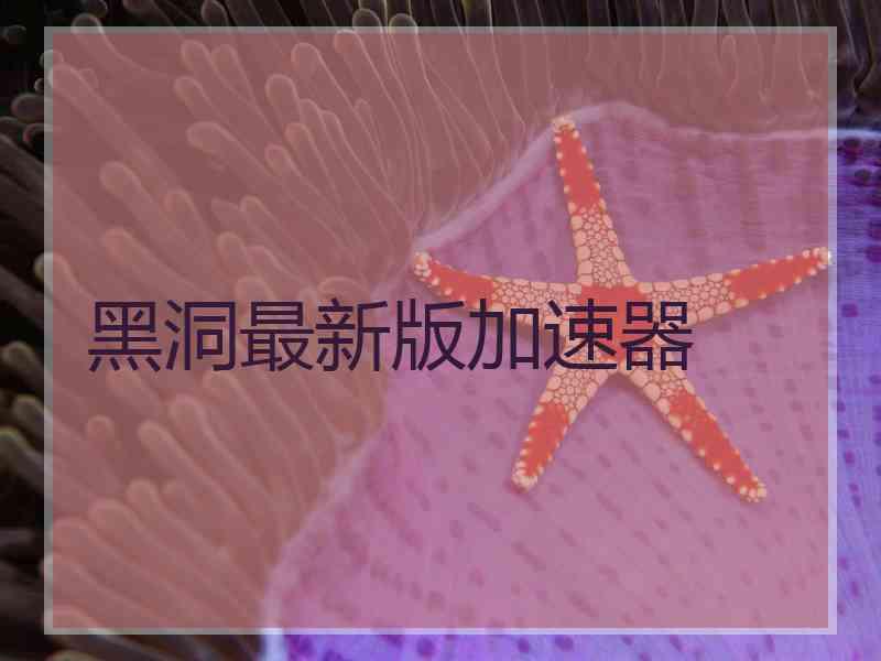黑洞最新版加速器