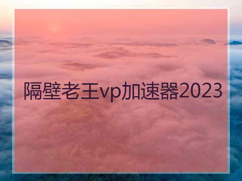 隔壁老王vp加速器2023