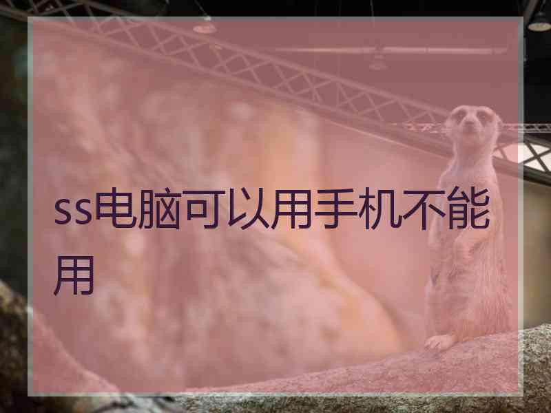 ss电脑可以用手机不能用
