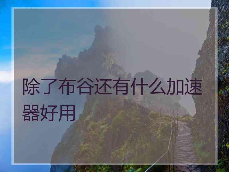 除了布谷还有什么加速器好用