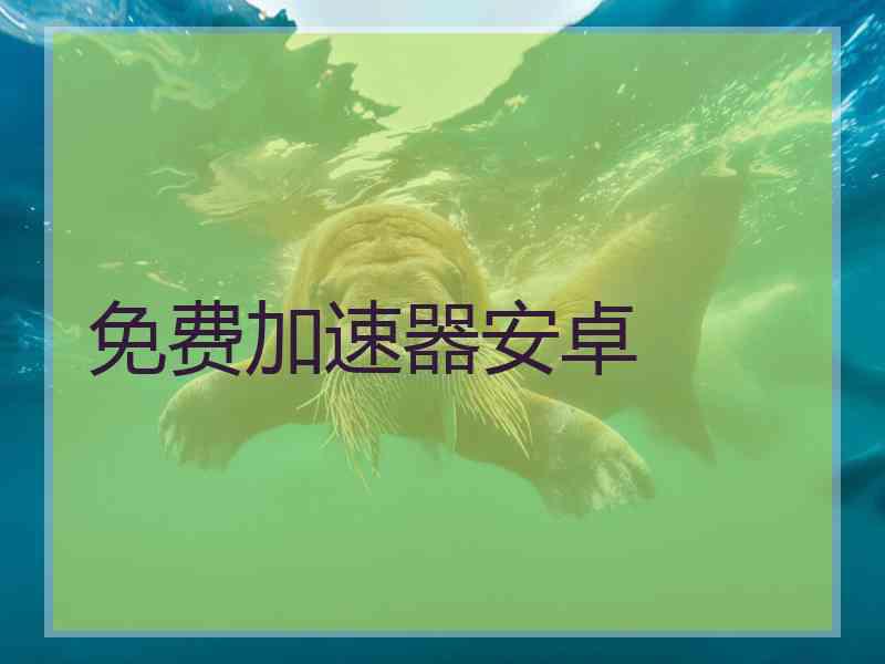 免费加速器安卓