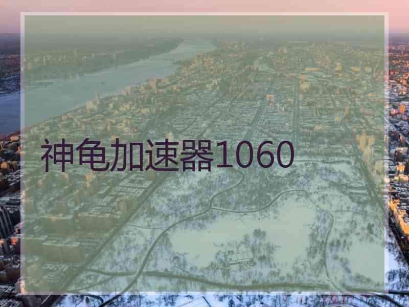神龟加速器1060